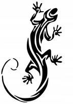 Lipdukas automobiliui ar motociklui „Lizard“, 21 x 12,7 cm, permatomas fonas