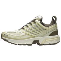 SALOMON Acs Pro GORE TEX 'Vanilla Ice Green Haze' Sneakers L47736200 44⅔