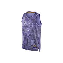 Nike Nba LeBron James Los Angeles Lakers 2022/23 Select Series marškinėliai FD4093-580 M