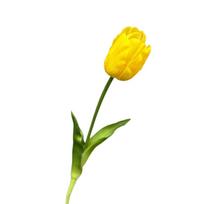 High-End Realistic Tulip Simulation Flower Hand-Held Design Flower Arrangement Faux Tulip Flower Parrot Tulip Lifelike Tulip geltona