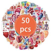 50PCS Human Body Organ Stickers Human Anatomy Sticker Body Part Waterproof Vinyl Decals Pack for Student Nurse Bulk Water Bottle gray