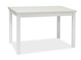 Prekė su pažeista pakuote. Stalas Scandinavian Adam, balta sp., 100 cm x 60 cm x 75 cm