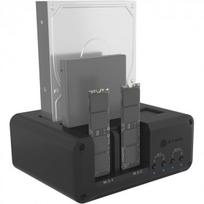 ICY BOX IB-2925MS-CU31 2x 2,5"/ 3,5" HDD/ SSD