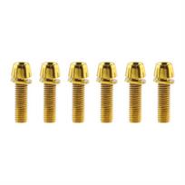 6pcs/set M5 * 17MM Bicycle Handlebar Screws Titanium-plated Bicycle Stem Screw  MTB gold-Titanium-plated beige