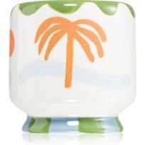 Paddywax A Dopo Palm Tree kvapioji žvakė 226 g