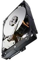 Serverio diskas Seagate 4TB 3,5" SATA III (6Gb/s) (ST4000NM0033)