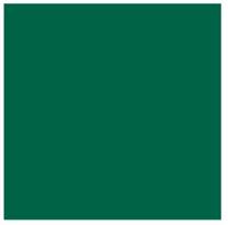 Artequipment TALENS REMBRANDT 40ML 616 - VIRIDIAN - farba olejna uniw