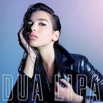 Dua Lipa - Dua Lipa (Gatefold) 1LP (vinilinė plokštelė)