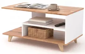 TV staliukas Skandinaviško stiliaus kavos staliukas su lentynėle 92 × 50 × 48 cm, baltas / ąžuolas Wotan