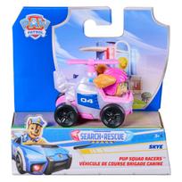 Žaislinis automobilis Spin Master Paw Patrol Search & Rescue 6074737, (spalva/dizainas parenkami atsitiktine tvarka)