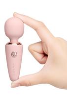 LE WAND MINI MICRO WAND RG