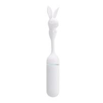 PLAYBOY LUCKY CHARM