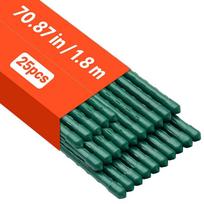 Sodo kuoliukai VEVOR CSP11-1800-25, 25 vnt, Ø11 × 1800 mm