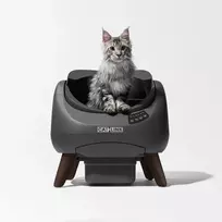 CATLINK Open-X savaime išsivalantis automatinis išmanus kačių tualetas su APP