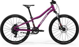 Dviratis Merida Matts J.24 2026 silk purple(wht/red/blk)-UNI