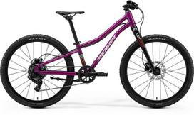 Dviratis Merida Matts J.24+ 2026 silk purple(wht/red/blk)-UNI