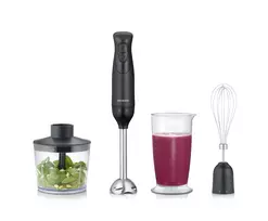 Severin SM 3762 rankinis blenderis 350 W juodas