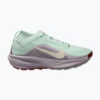 Moteriški bėgimo batai Nike ACG Pegasus Trail GORE-TEX Barely Green/Silver Lilac/Light Bone