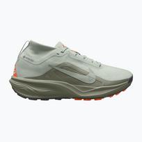 Vyriški bėgimo batai Nike ACG Pegasus Trail GORE-TEX Light Silver/Light Army/Light Silver