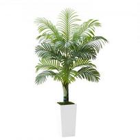 Dirbtinė Areca palmė 100x79x155 cm balta, vidaus lauko
