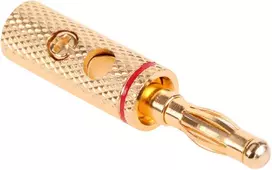 CABLETECH paauksuotas bananinis garsiakalbio kištukas su varžtiniu gnybtu - 4mm