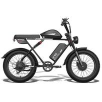 Bluvall K10 Dual Motor Electric Bike 20  Fat Tire 52V 43Ah 2000W 7‑Speed Hydraulic Disc Brake Removable Battery Off‑Road Ebike 54V 34Ah