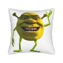 Shreks Meme Funny Pillowcase Polyester Cushion Cover Decorative  Throw Pillow Case Cover Home Zippered 40*40cm 30X30CM brown