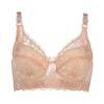 Plus Size 36-46 Women's Push Up Lingerie Sexy Solid Color Underwire Bra Floral Lace Bra Thin Comfortable Br… More 36/80C beige