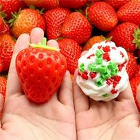 Pudding Stress Ball Squishy Model Toy ASMR Stress Relief Fidget Toy Peanut Cheese Strawburry Crunchy Building Blocks Filler Ball