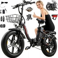 Elektrinis dviratis PASEBIKE P20 Pro, 1000W, 23Ah, iki 100 km, 20" ratai, alyvos stabdžiai