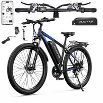 Elektrinis dviratis Duotts C29-L 1000W 48V 15Ah, iki 52 km/h, 29" ratai, bekelės