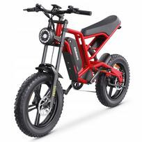 Elektrinis visureigis Hidoes B6, 20", 1200W, 48V, hidrauliniai stabdžiai, iki 50 km/h