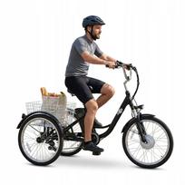 Elektrinis triratis GOGOBEST GF100, 350 W, 35 km/h, 15 Ah, 24", iki 70 km