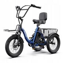 Elektrinis triratis APEFOX RH30, 500W, 25 km/h, 15 Ah, 18" ratlankiai