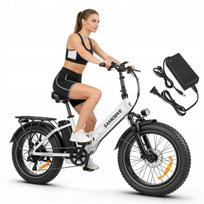 Sulankstomas elektrinis dviratis Samebike LOTDM200-II, 750W, 13Ah, 40 km/h, 20", su krepšiu