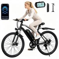 Elektrinis dviratis iScooter EB3S, 250W, 36V, 15Ah, 35 km/h, LCD ekranas, iki 90 km
