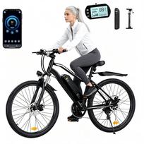 Elektrinis paspirtukas iScooter EB3S, 36V 15Ah, LCD ekranas, 35 km/h greitis, iki 90 km nuotolis