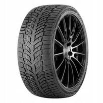 Žieminė padanga Doublestar DW08 175/70R13 82T (2024)