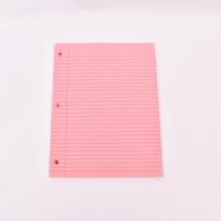 American Three-Hole Lined Loose-Leaf Notebook with Colored Refill Pages pink