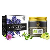 Buddha Natural Black Hair Colour (50 Gms) - Natural Plant Based | Get Instant Natural Black Hair | Skin Friendly Hair Color black