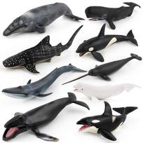 Realistic Ocean Animal Model Set 9 Pieces Sperm Whale Blue Whale Tiger Shark Beluga Whale Marine Life Whale Toys killer whale type1