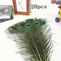 20pcs Vibrant Artificial Peacock Feathers  DIY Craft 16-18 in Home Decoration Long Feather Vase Flower Arrangement Peacock Decor