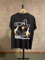 Retro Hip Hop Tee; 90s Rap Legend Style Unisex Cotton Unisex unisex T-Shirt S beige