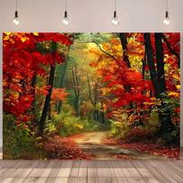 2D Fall Woods Backdrop Vibrant Maple Trees Photography Background Cloth 47.2x31.5inch/120*80cm