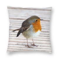 Robins Do Like To Pose Square Pillowcase Polyester Linen Velvet Pattern Zip Decorative Throw Pillow Case Car Cushion Cover 30x30cm gray