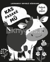 Kas pasakė MŪ? Lavinamoji knygelė kūdikiams
