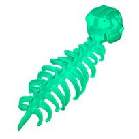 Dinozauro skeleto kostiumas 3D šviečiantis tamsoje dinozauro skeletas pliušinis mielas skeletas su riaumojimo garsu kostiumų vakarėliui apranga Cosplay rekvizitai A green