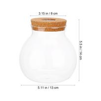 Led Fish Tank Glass Bottle Practical Glass Ecological Bottle With Led Light Glass Terrarium Container Micro Landscape Aquarium 14X13X13cm balta