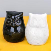 Handmade Owl Ceramic Salt & Pepper Shaker Set Unique Rustic Charming Kitchen and Home Decor Tableware Gift Idea white