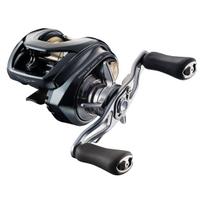 Daiwa 26 Steez SV Light Baitcasting Ritė TW100XXHL gray